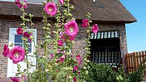 ferien-unter-reet-im-ferienhaus-nordsee